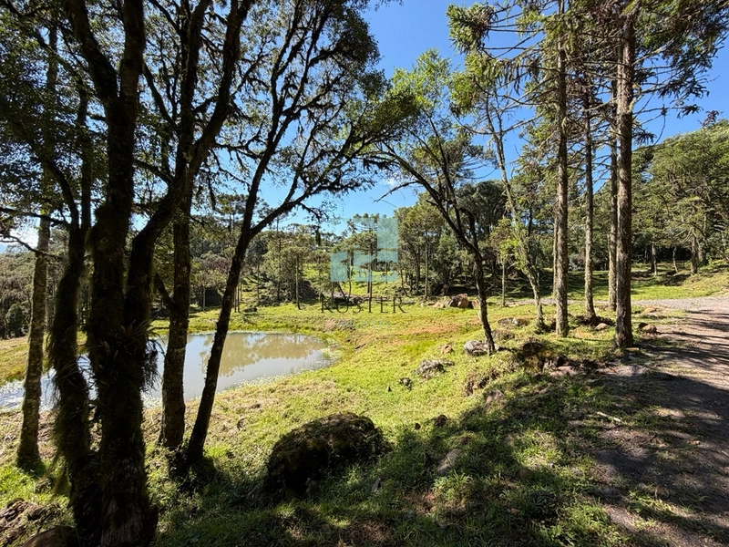 Terreno à Venda em Urubici – Excelente Localização: 2ª foto da galeria de imagens do imóvel