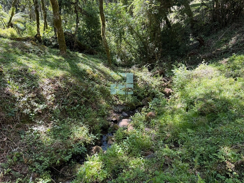 Terreno à Venda em Urubici – Excelente Localização: 3ª foto da galeria de imagens do imóvel