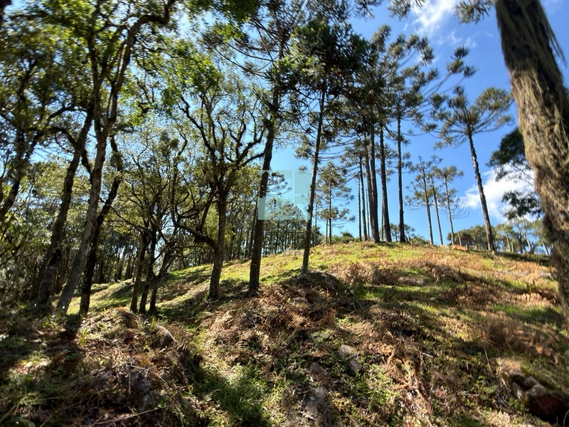 Terreno à Venda em Urubici – Excelente Localização: 19ª foto da galeria de imagens do imóvel