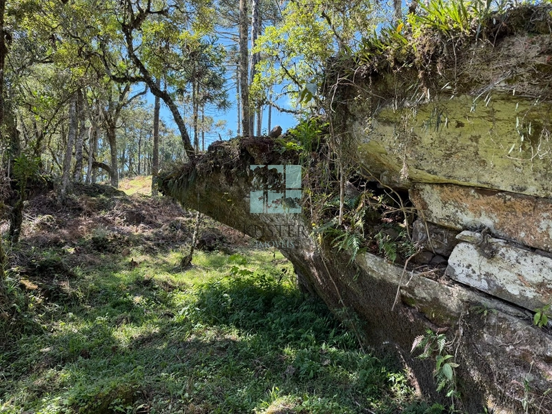 Terreno à Venda em Urubici – Excelente Localização: 15ª foto da galeria de imagens do imóvel
