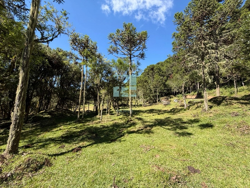 Terreno à Venda em Urubici – Excelente Localização: 7ª foto da galeria de imagens do imóvel