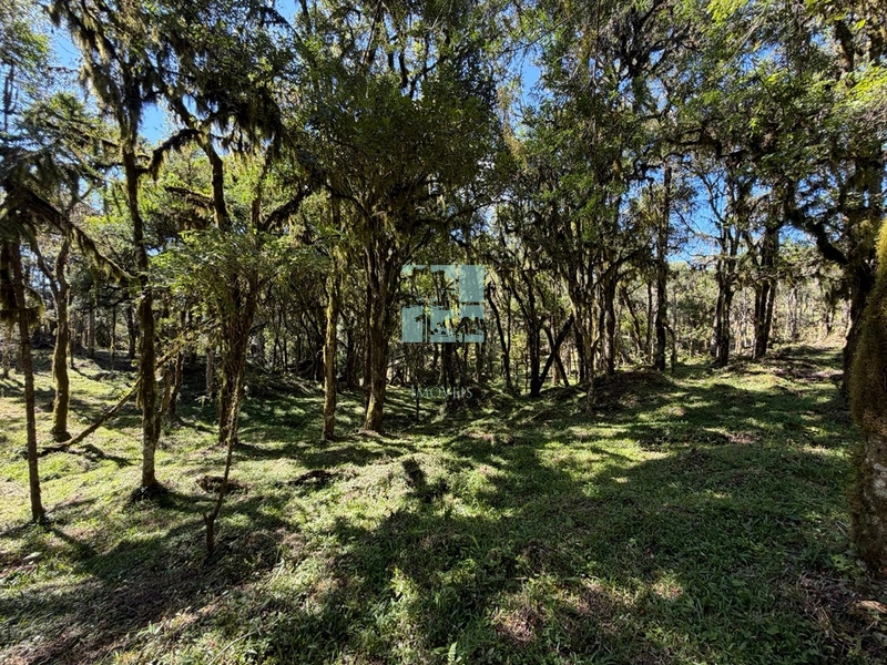 Terreno à Venda em Urubici – Excelente Localização: 10ª foto da galeria de imagens do imóvel