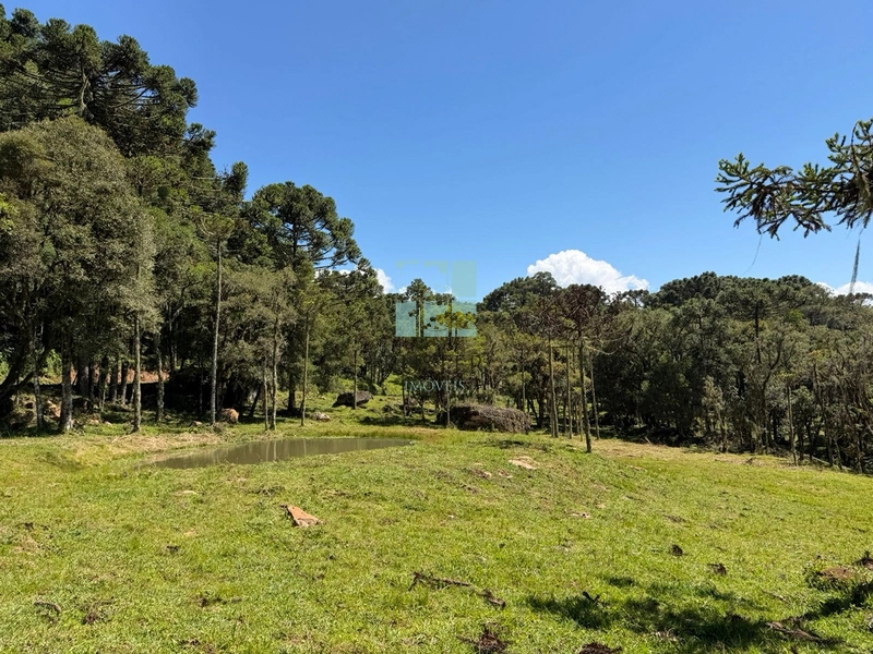 Terreno à Venda em Urubici – Excelente Localização: 8ª foto da galeria de imagens do imóvel