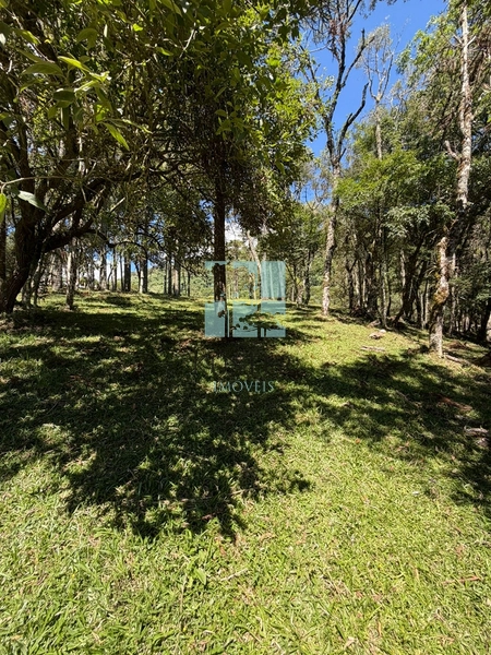 Terreno à Venda em Urubici – Excelente Localização: 12ª foto da galeria de imagens do imóvel