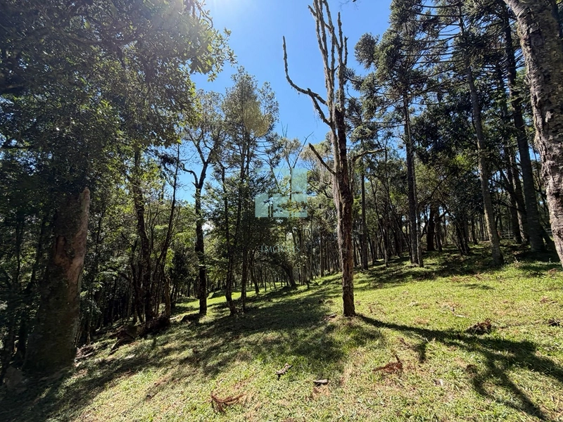 Terreno à Venda em Urubici – Excelente Localização: 21ª foto da galeria de imagens do imóvel