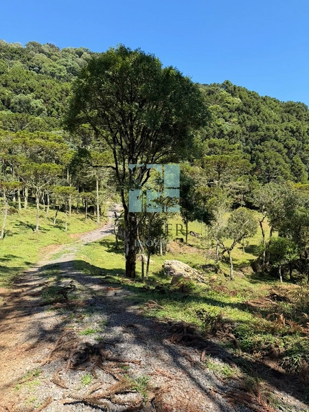 Terreno à Venda em Urubici – Excelente Localização: 5ª foto da galeria de imagens do imóvel