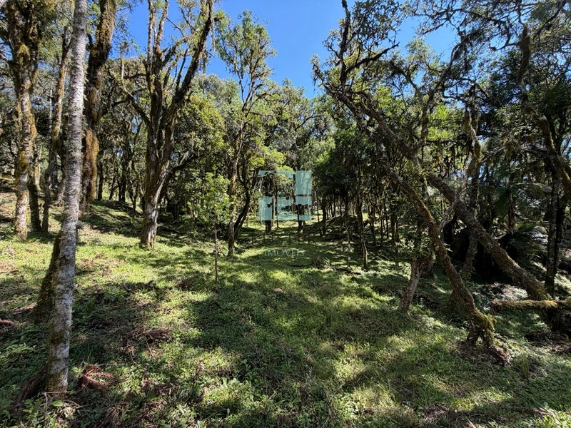 Terreno à Venda em Urubici – Excelente Localização: 14ª foto da galeria de imagens do imóvel