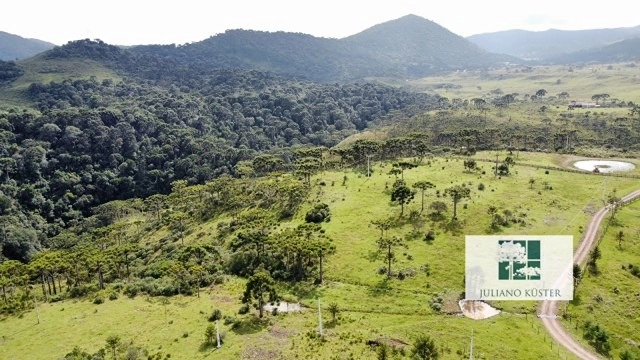 Sítio: 9ª foto da galeria de imagens do imóvel