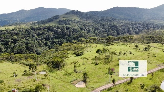 Sítio: 6ª foto da galeria de imagens do imóvel