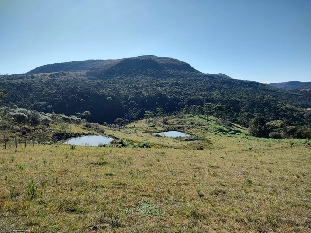null: 1ª foto da galeria de imagens do imóvel