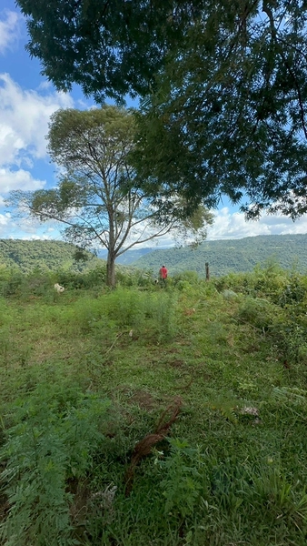 Linda Vista: 2ª foto da galeria de imagens do imóvel