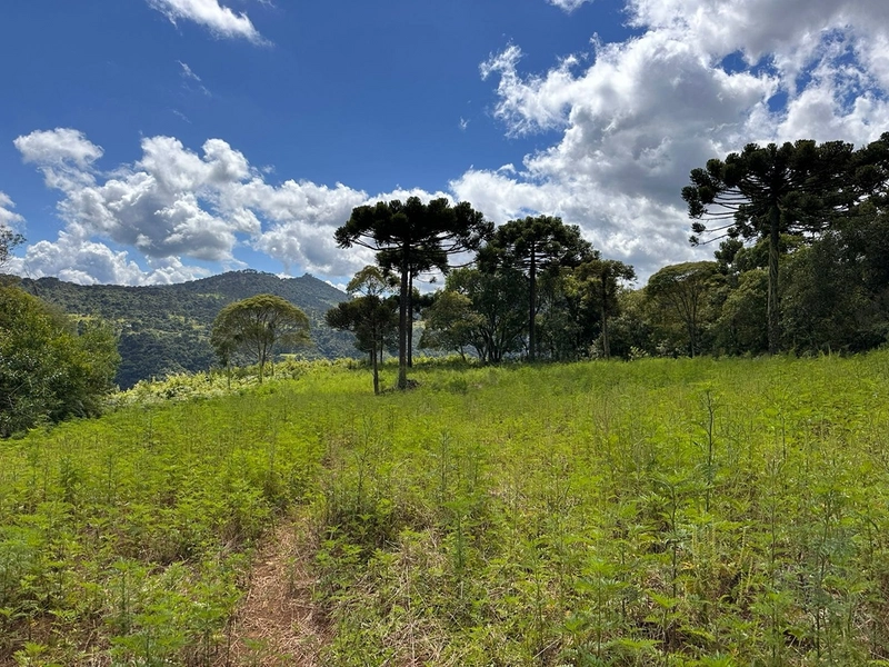 Linda Vista: 10ª foto da galeria de imagens do imóvel