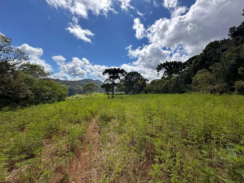 Linda Vista: 7ª foto da galeria de imagens do imóvel
