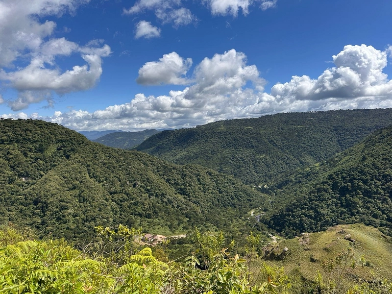 Linda Vista: 9ª foto da galeria de imagens do imóvel