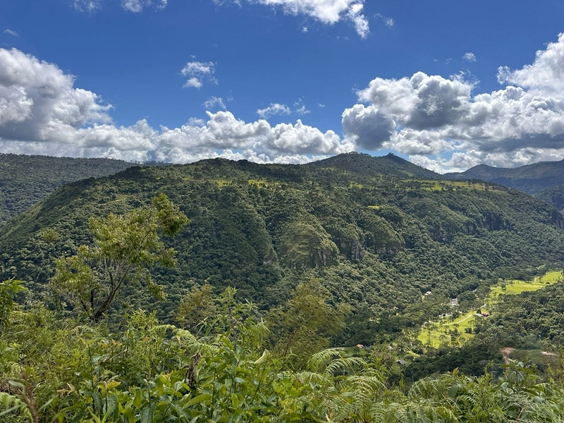 Linda Vista: 4ª foto da galeria de imagens do imóvel