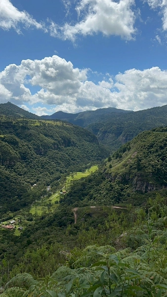 Linda Vista: 3ª foto da galeria de imagens do imóvel