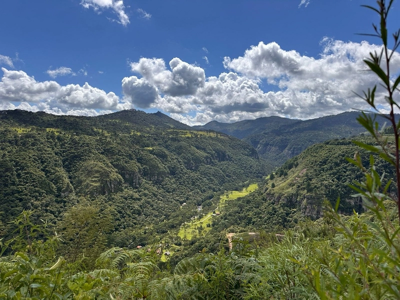 Linda Vista: 11ª foto da galeria de imagens do imóvel
