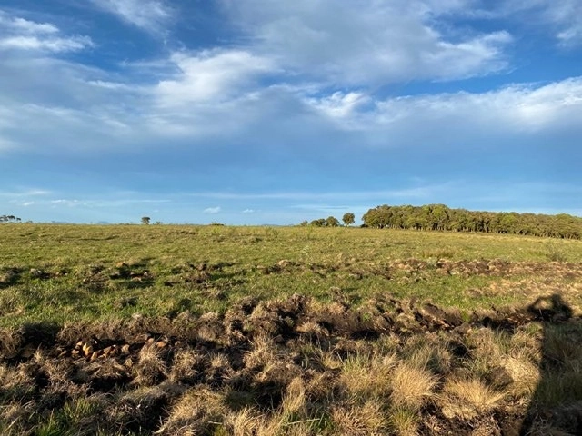 Terreno com Vista de tirar o fôlego: 3ª foto da galeria de imagens do imóvel