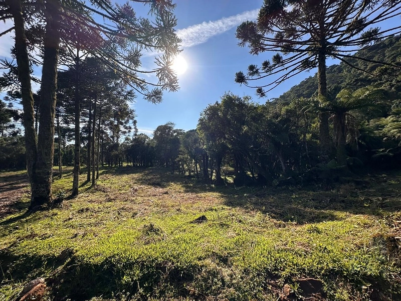 Terreno pronto para consrtuir: 5ª foto da galeria de imagens do imóvel
