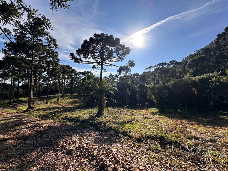 Terreno pronto para consrtuir: 11ª foto da galeria de imagens do imóvel