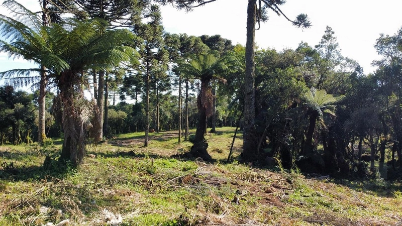 Terreno pronto para consrtuir: 8ª foto da galeria de imagens do imóvel