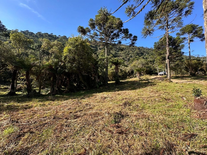 Terreno pronto para consrtuir: 12ª foto da galeria de imagens do imóvel