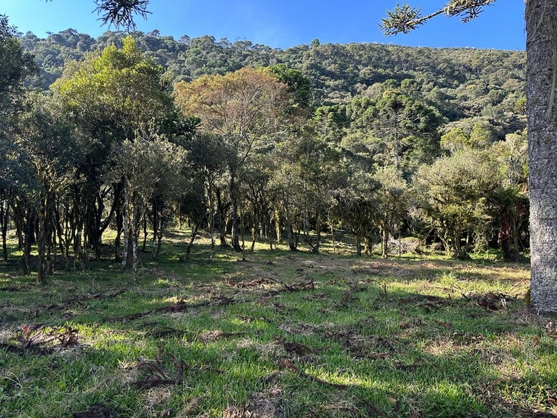 Terreno pronto para consrtuir: 10ª foto da galeria de imagens do imóvel