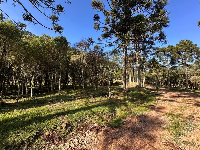 Terreno pronto para consrtuir: 13ª foto da galeria de imagens do imóvel