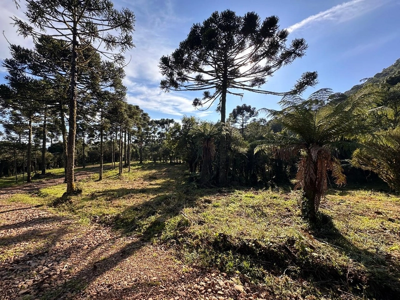 Terreno pronto para consrtuir: 15ª foto da galeria de imagens do imóvel