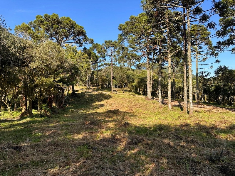 Terreno pronto para consrtuir: 7ª foto da galeria de imagens do imóvel