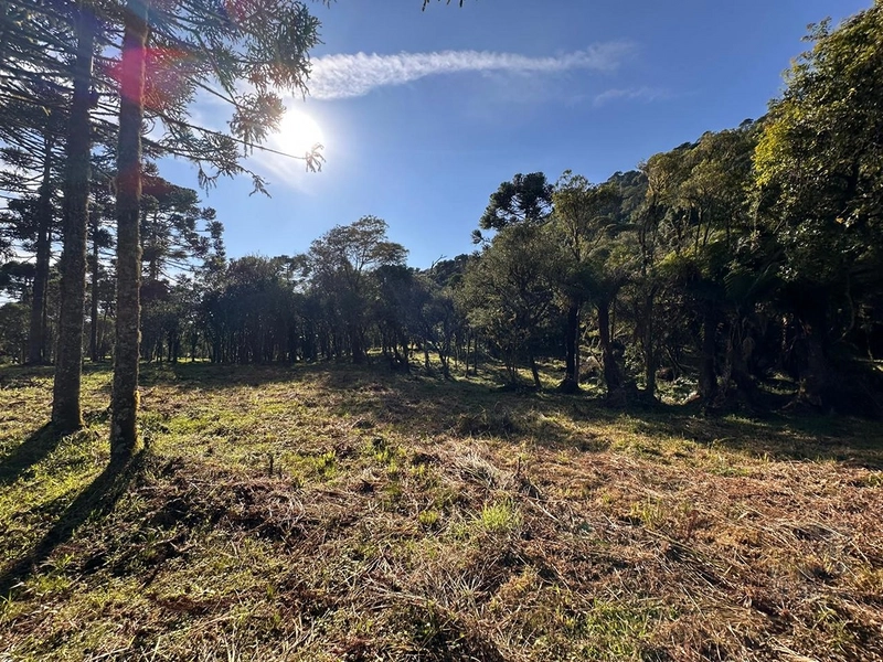 Terreno pronto para consrtuir: 4ª foto da galeria de imagens do imóvel
