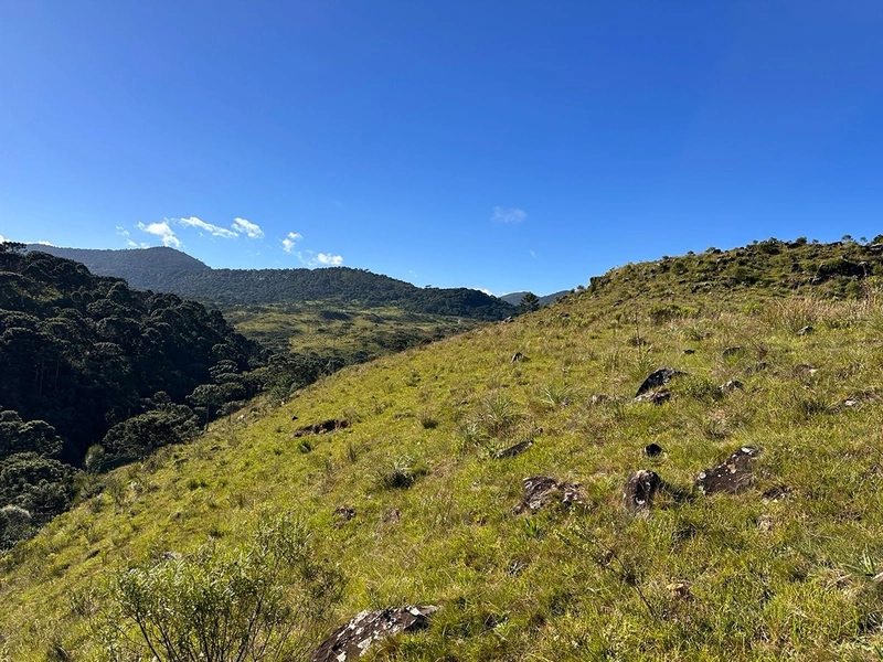 Terreno com Vista: 1ª foto da galeria de imagens do imóvel