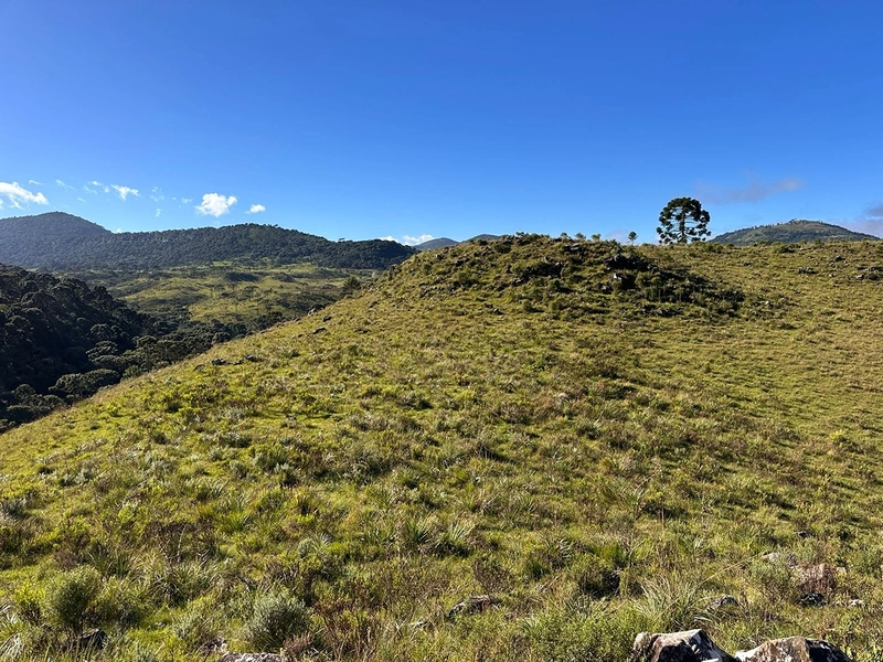 Terreno com Vista: 8ª foto da galeria de imagens do imóvel