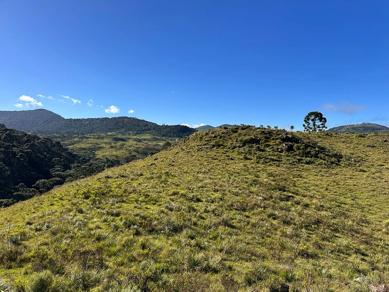 Terreno com Vista: 4ª foto da galeria de imagens do imóvel