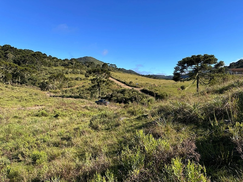 Terreno com Vista: 2ª foto da galeria de imagens do imóvel