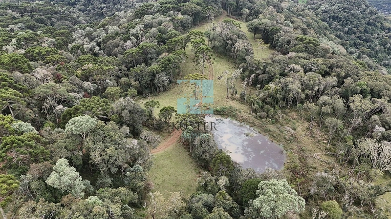 Qualidade: 8ª foto da galeria de imagens do imóvel