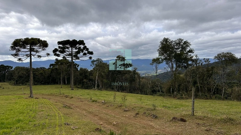 Qualidade: 21ª foto da galeria de imagens do imóvel