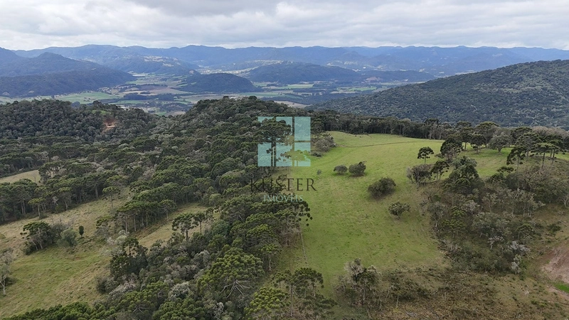 Qualidade: 4ª foto da galeria de imagens do imóvel