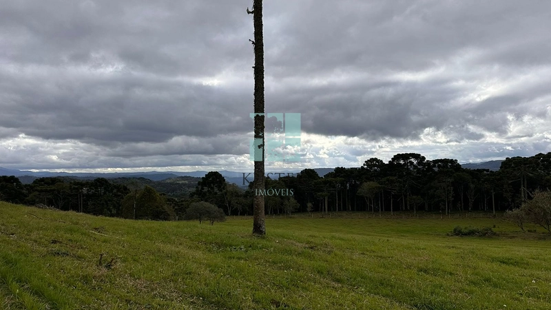 Qualidade: 17ª foto da galeria de imagens do imóvel