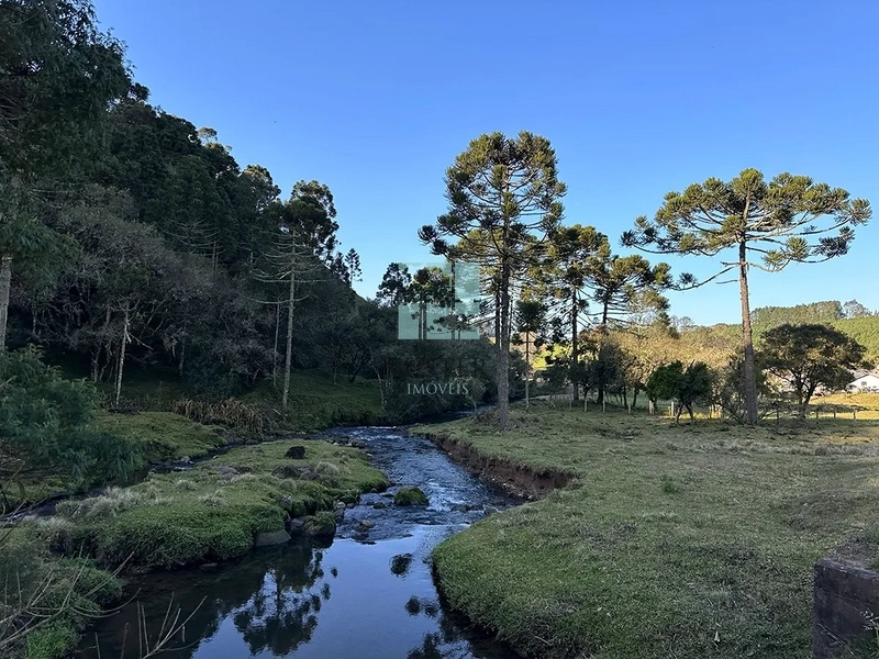 Fazenda Completa em Bocaina do Sul: 15ª foto da galeria de imagens do imóvel