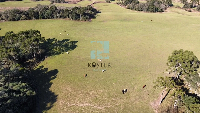 Fazenda Completa em Bocaina do Sul: 25ª foto da galeria de imagens do imóvel