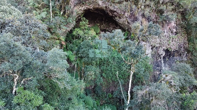 Fazenda Completa em Bocaina do Sul: 17ª foto da galeria de imagens do imóvel