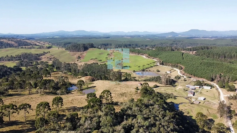 Fazenda Completa em Bocaina do Sul: 14ª foto da galeria de imagens do imóvel