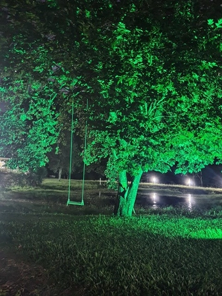 Bela Propriedade: 6ª foto da galeria de imagens do imóvel