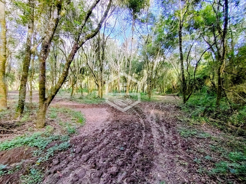 O lugar ideal pra descanso!: 7ª foto da galeria de imagens do imóvel