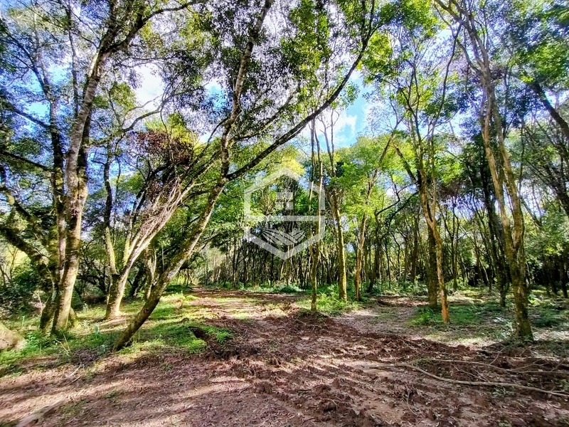 O lugar ideal pra descanso!: 8ª foto da galeria de imagens do imóvel