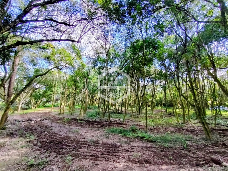 O lugar ideal pra descanso!: 10ª foto da galeria de imagens do imóvel