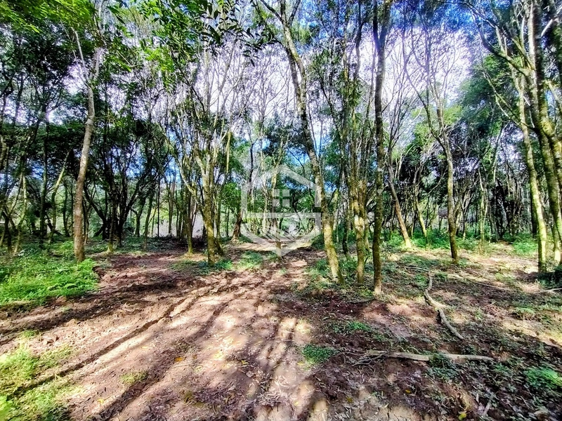 O lugar ideal pra descanso!: 11ª foto da galeria de imagens do imóvel