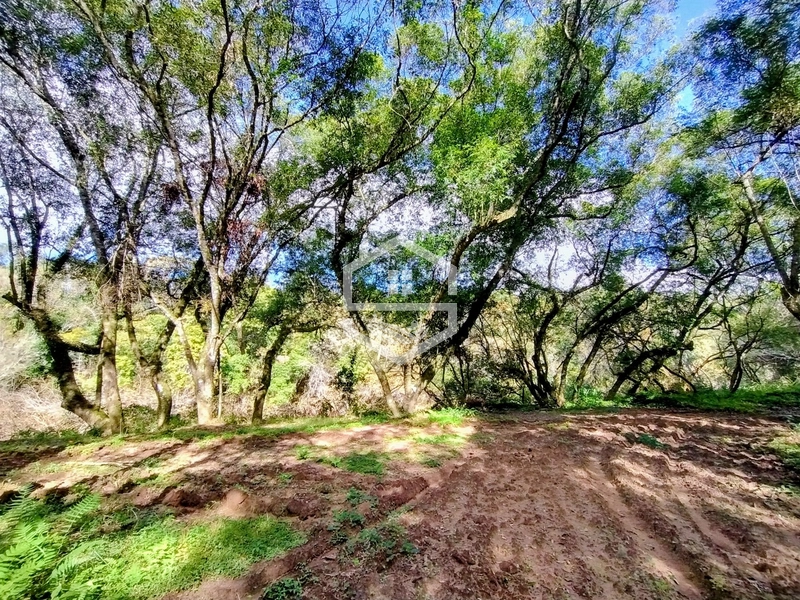 O lugar ideal pra descanso!: 3ª foto da galeria de imagens do imóvel