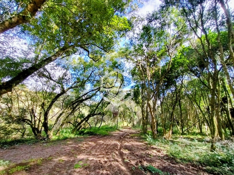 O lugar ideal pra descanso!: 5ª foto da galeria de imagens do imóvel